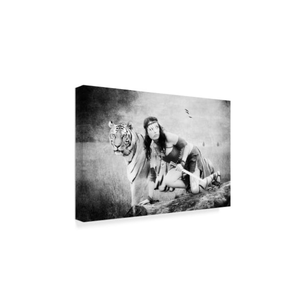 Ata Alishahi 'Tiger Girl' Canvas Art,16x24